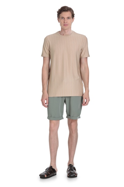 Bej Regular Fit Çizgili Bisiklet Yaka Tişört - 2