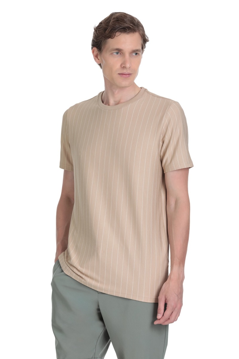 Bej Regular Fit Çizgili Bisiklet Yaka Tişört - Saykı (1)