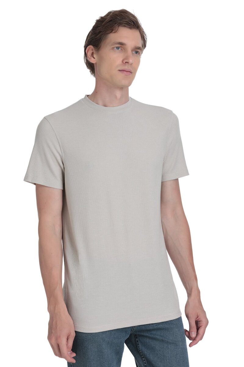 Ekru Regular Fit Bisiklet Yaka Tişört - HTML