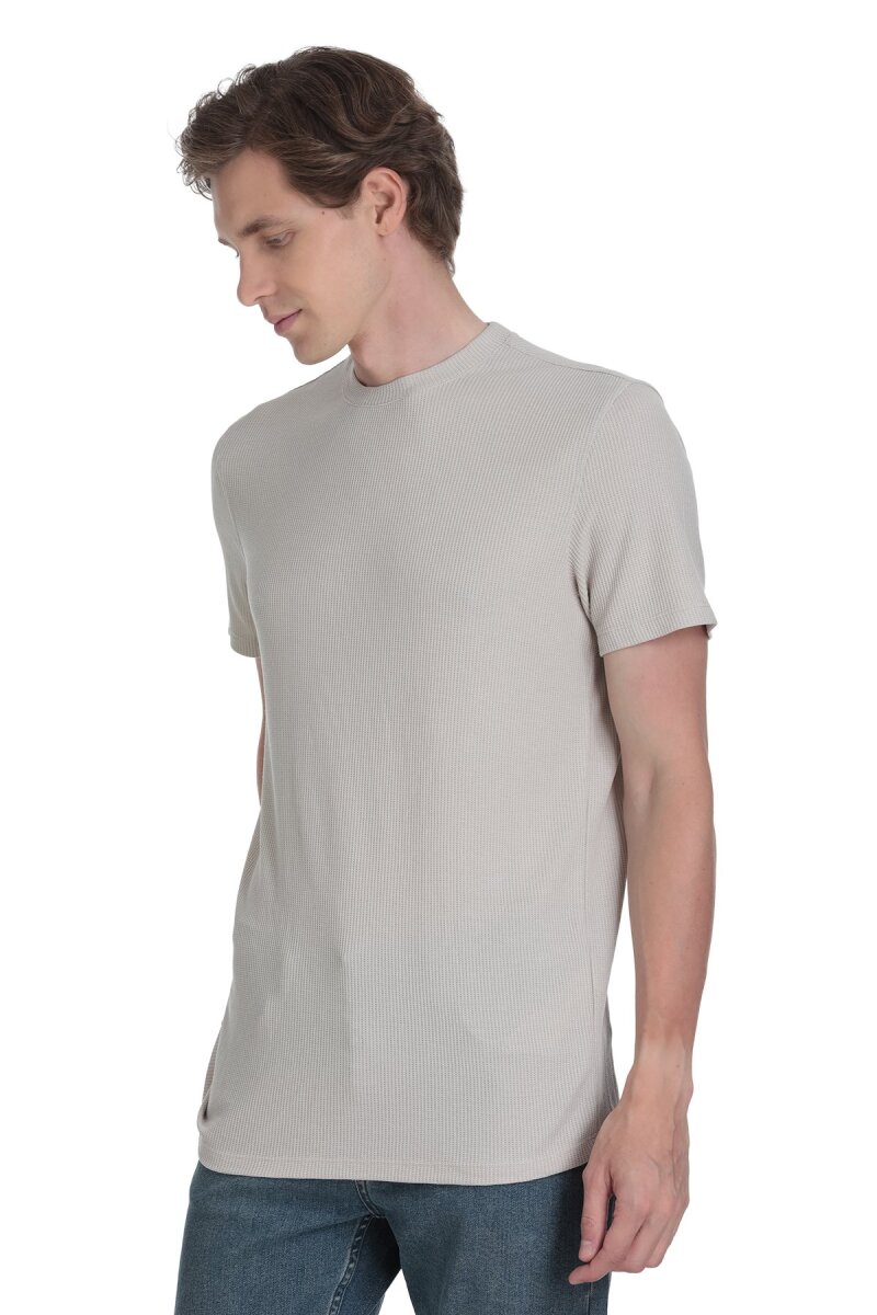 Ekru Regular Fit Bisiklet Yaka Tişört - HTML (1)