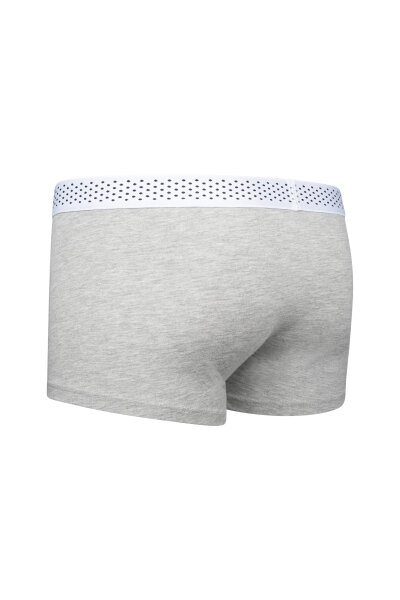 Gri Pamuklu Boxer - 2