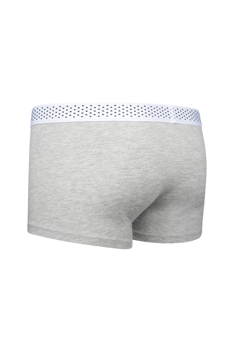 Gri Pamuklu Boxer - Hatem Saykı (1)