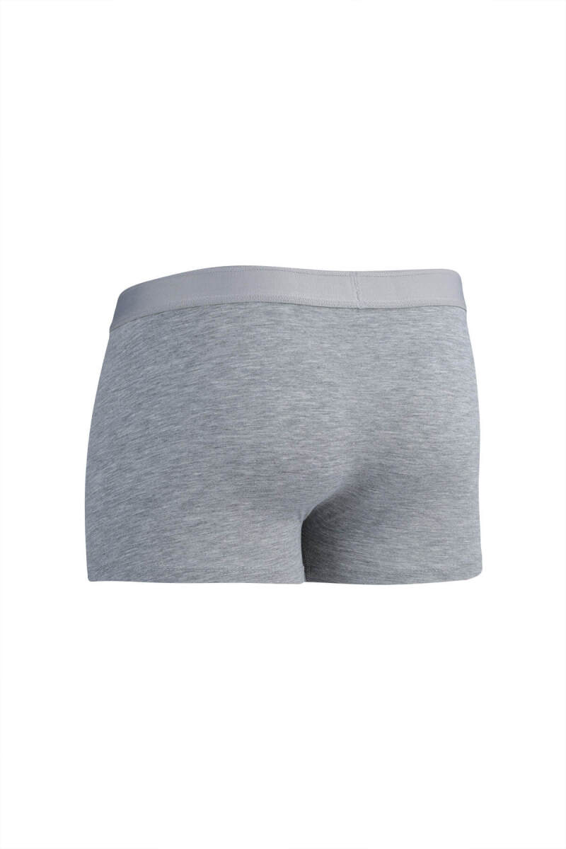Gri Pamuklu Boxer - Saykı (1)
