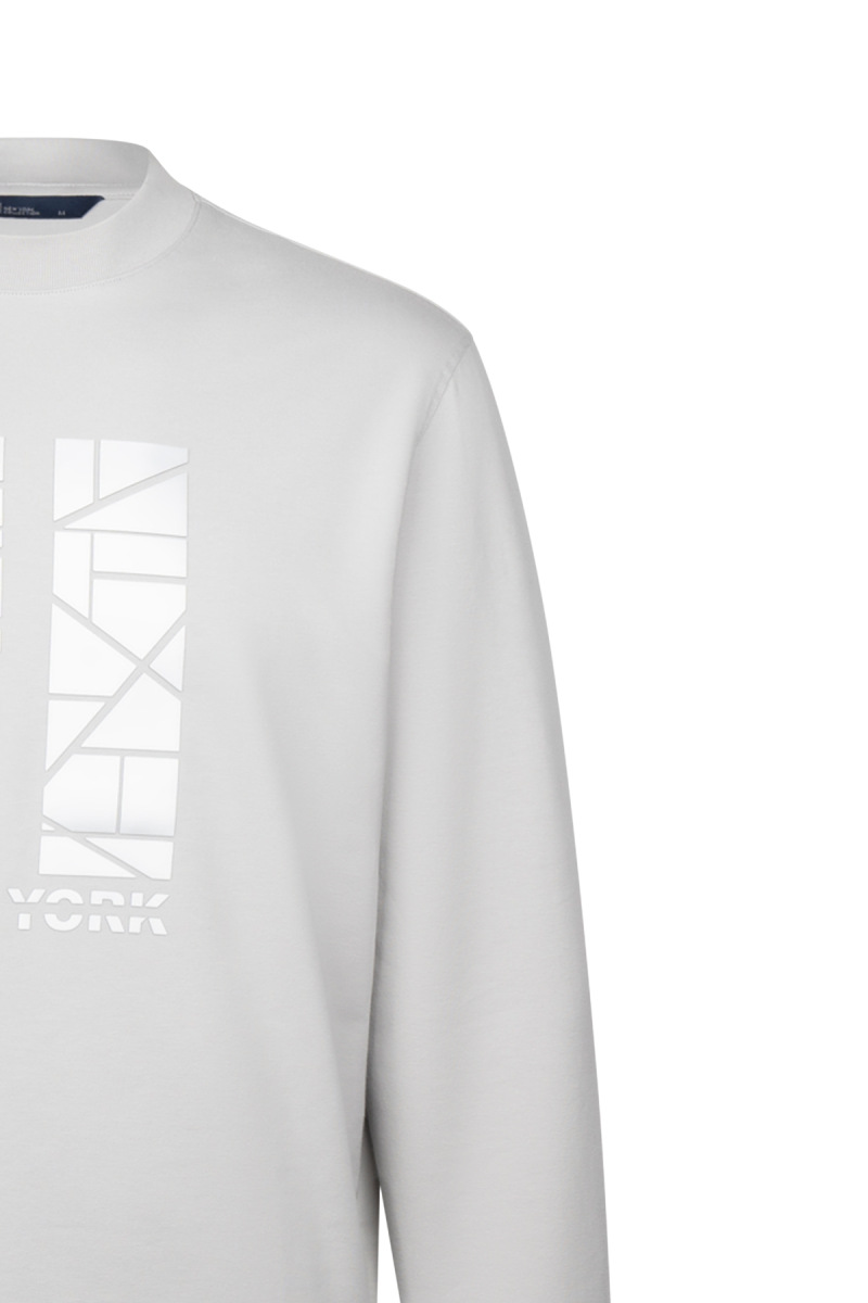 Gri Regular Fit Baskılı Pamuklu Bisiklet Yaka Sweatshirt - HTML (1)