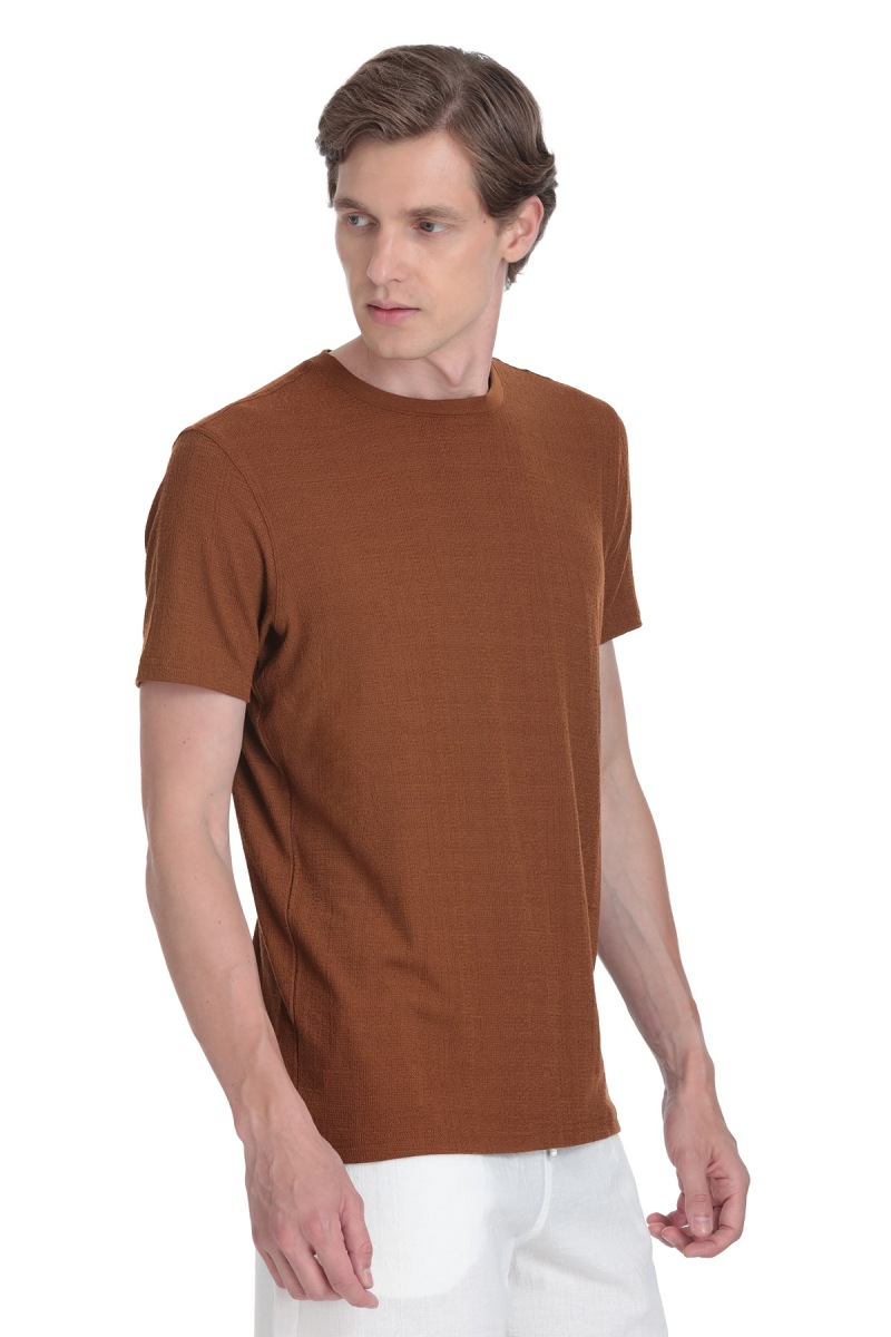 Kahverengi Regular Fit Bisiklet Yaka Tişört - Hatemoğlu