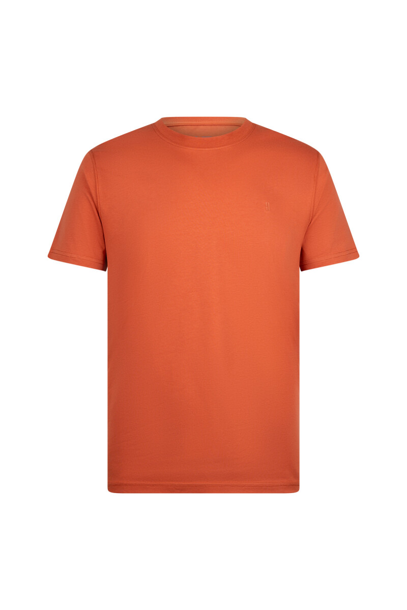 Kiremit Regular Fit Bisiklet Yaka Pamuklu Basic Tişört - HTML