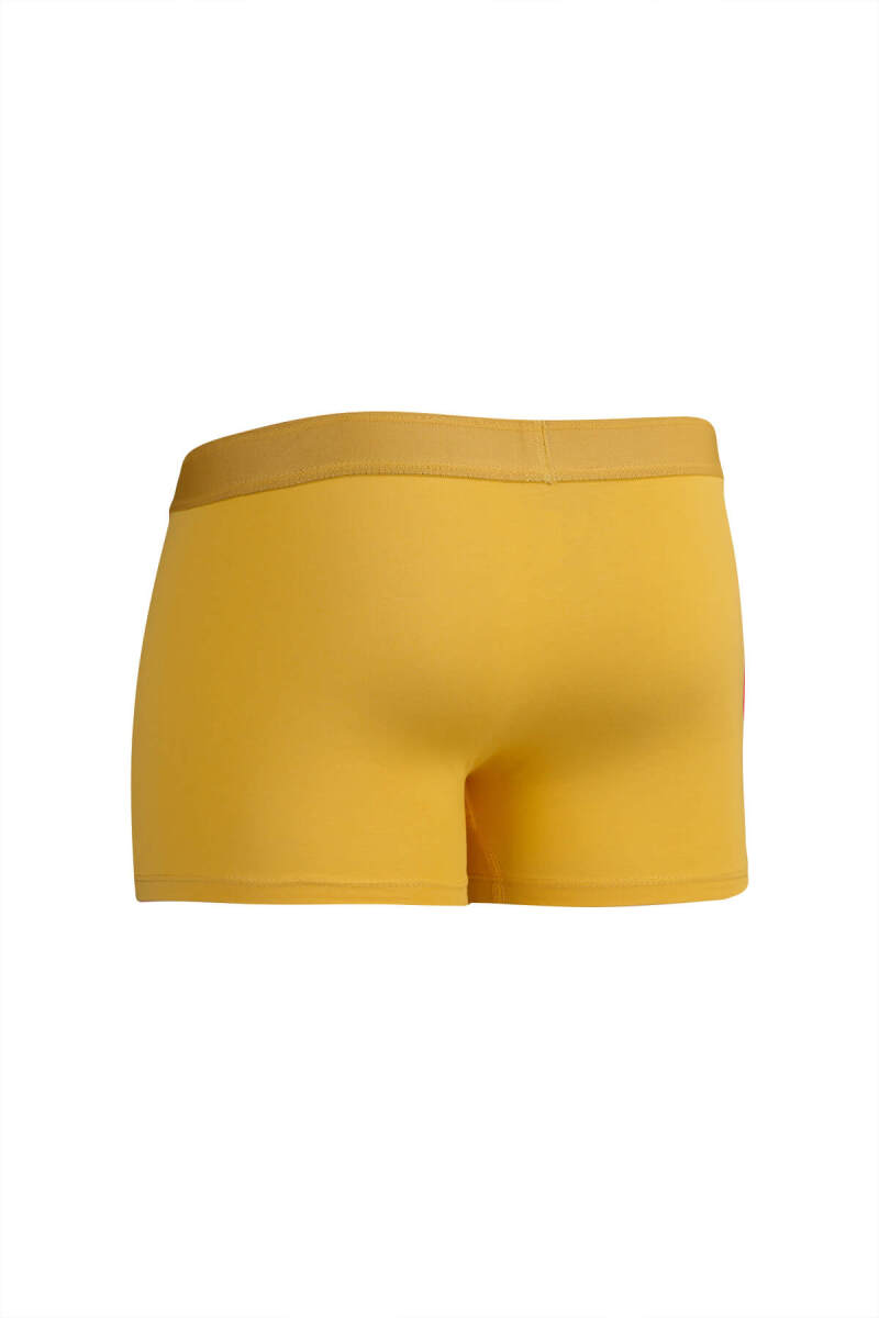 Sarı Pamuklu Boxer - Saykı (1)