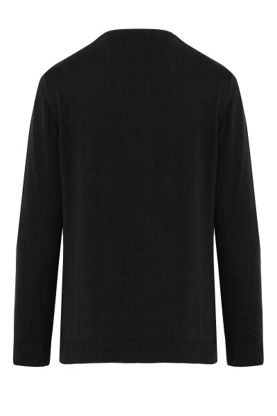 Siyah Regular Fit Desenli Pamuklu Bisiklet Yaka Triko Kazak - 10