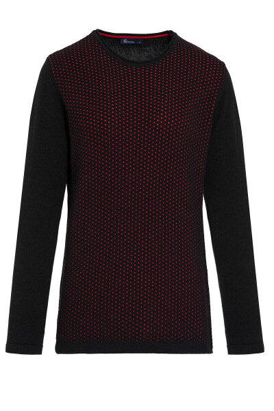 Siyah Regular Fit Desenli Bisiklet Yaka Pamuklu Triko Kazak - 1