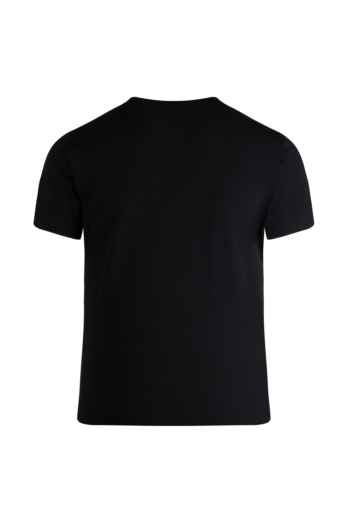 Siyah Regular Fit Bisiklet Yaka Pamuklu Tişört - 5