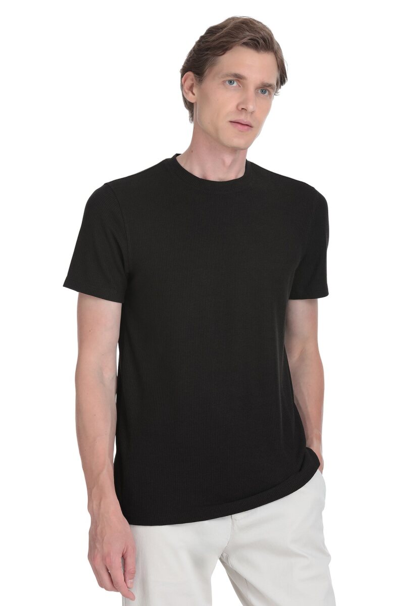 Siyah Regular Fit Bisiklet Yaka Tişört - HTML