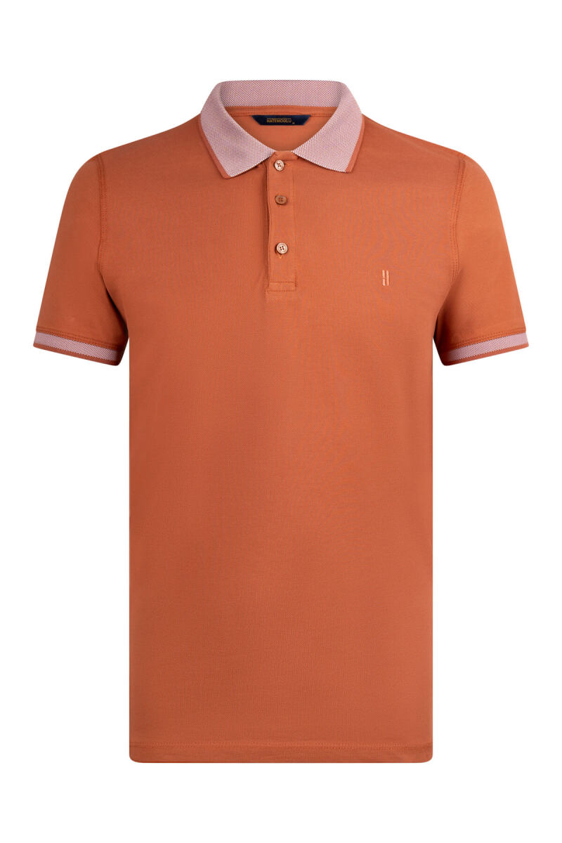 Tarçın Regular Fit 100% Pamuklu Polo Yaka Tişört - HATEMOĞLU (1)