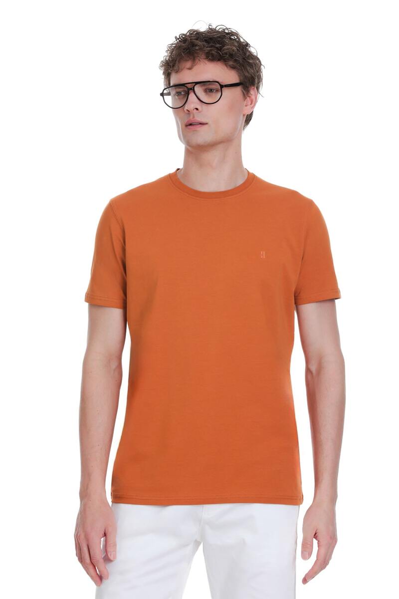 Tarçın Regular Fit Bisiklet Yaka Pamuklu Tişört - HTML (1)