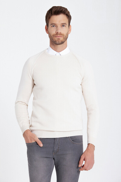 Taş Regular Fit Desenli Bisiklet Yaka Pamuklu Triko Kazak - 12