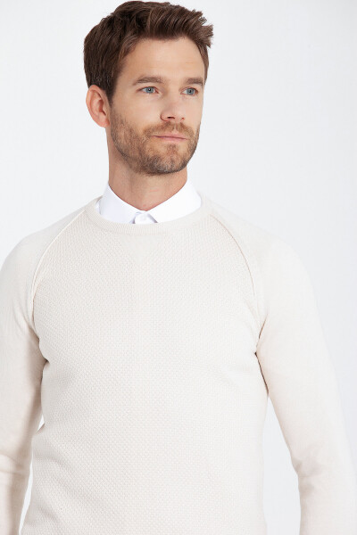 Taş Regular Fit Desenli Bisiklet Yaka Pamuklu Triko Kazak - 16