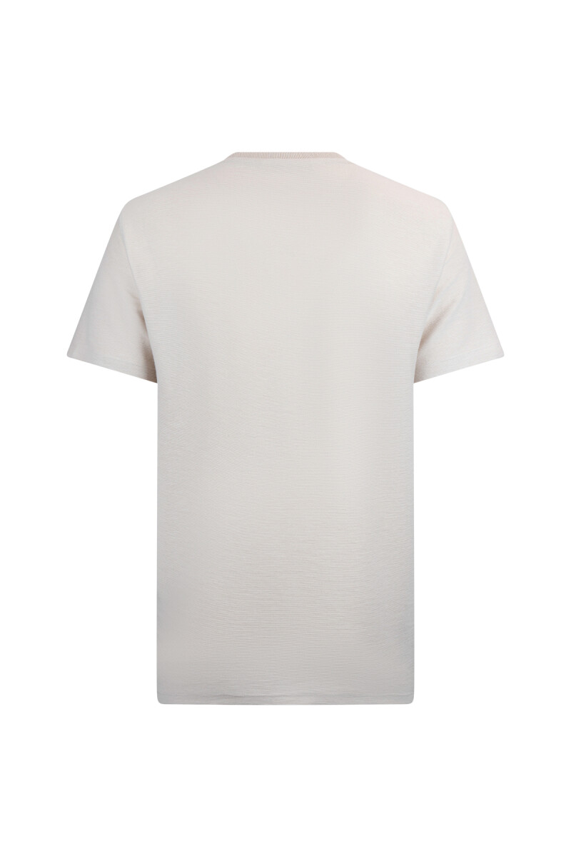 Taş Regular Fit Bisiklet Yaka Basic Tişört - Hatem Saykı (1)