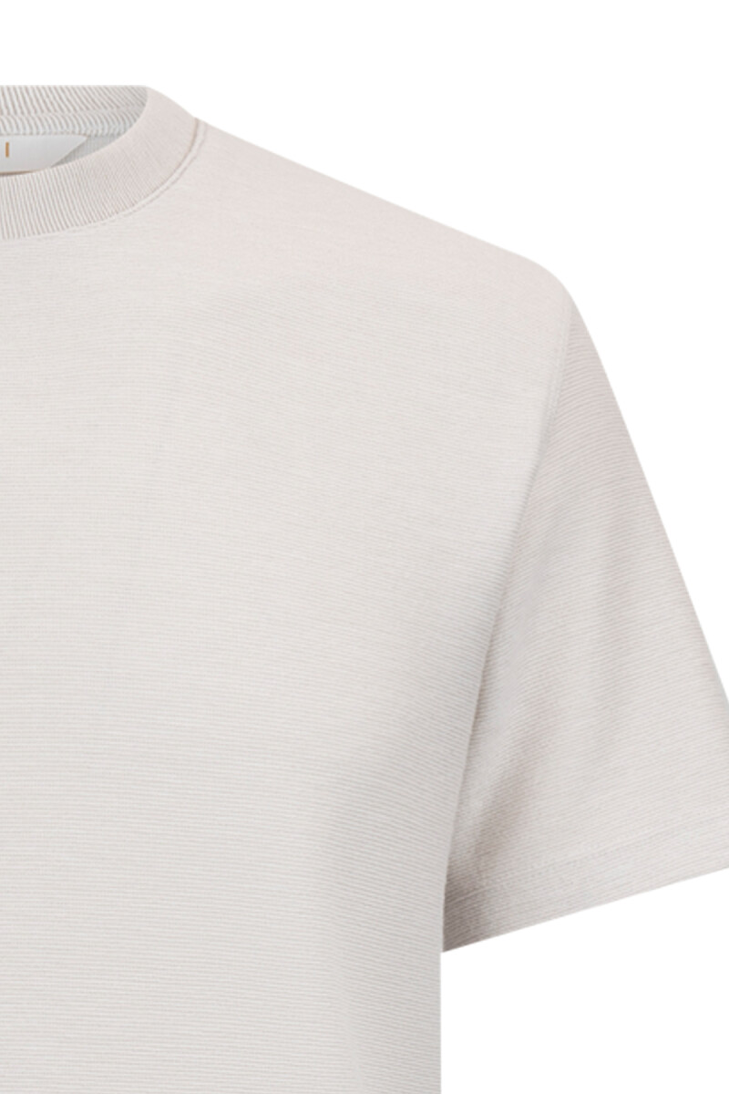 Taş Regular Fit Bisiklet Yaka Basic Tişört - Hatem Saykı (1)