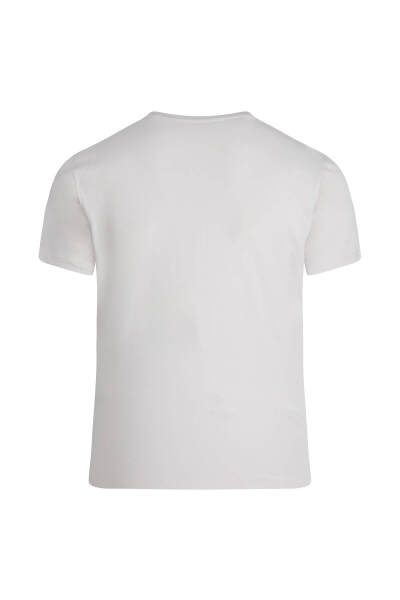 Taş Regular Fit Bisiklet Yaka Pamuklu Tişört - 3