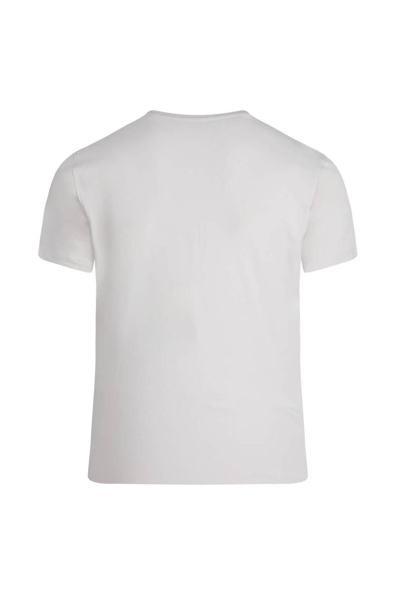 Taş Regular Fit Bisiklet Yaka Pamuklu Tişört - HTML (1)