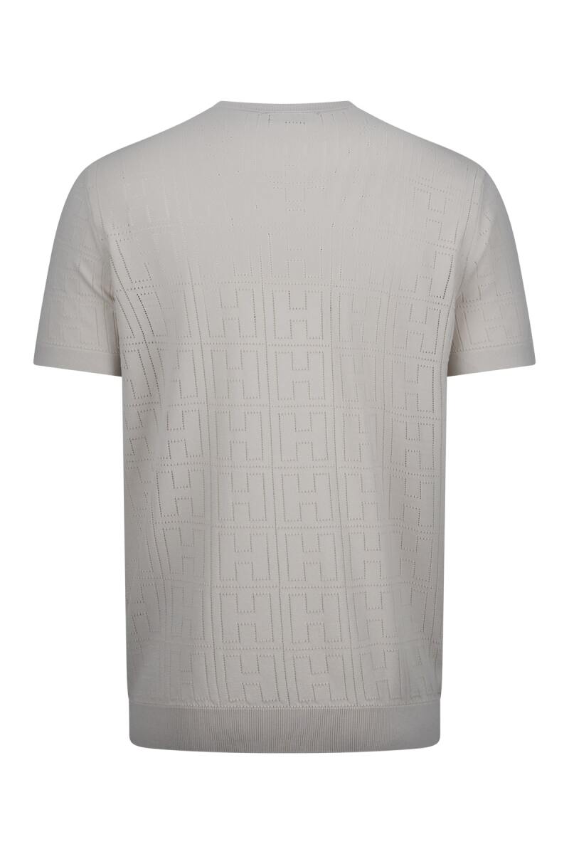 Taş Regular Fit Bisiklet Yaka Rayon Tişört - Saykı (1)