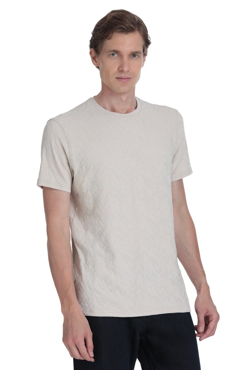 Taş Regular Fit Bisiklet Yaka Tişört - Hatemoğlu