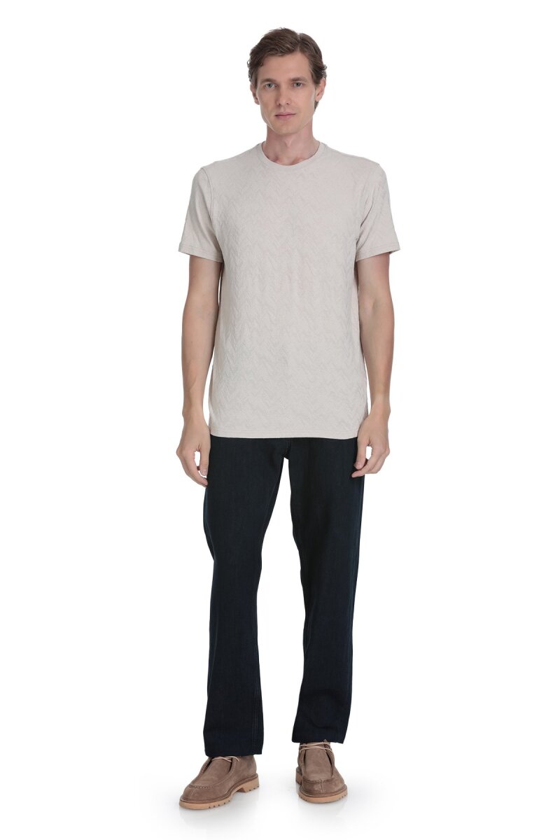 Taş Regular Fit Bisiklet Yaka Tişört - Hatemoğlu (1)