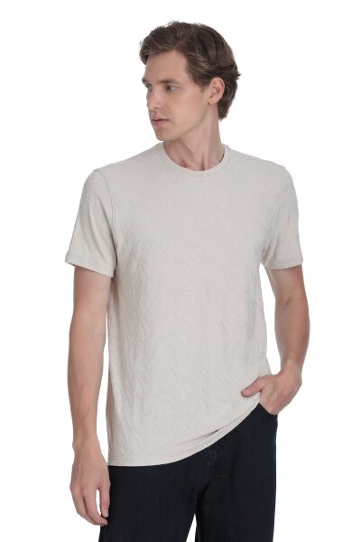 Taş Regular Fit Bisiklet Yaka Tişört - 3