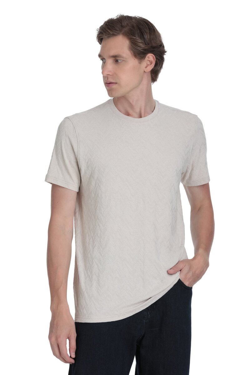 Taş Regular Fit Bisiklet Yaka Tişört - Hatemoğlu (1)