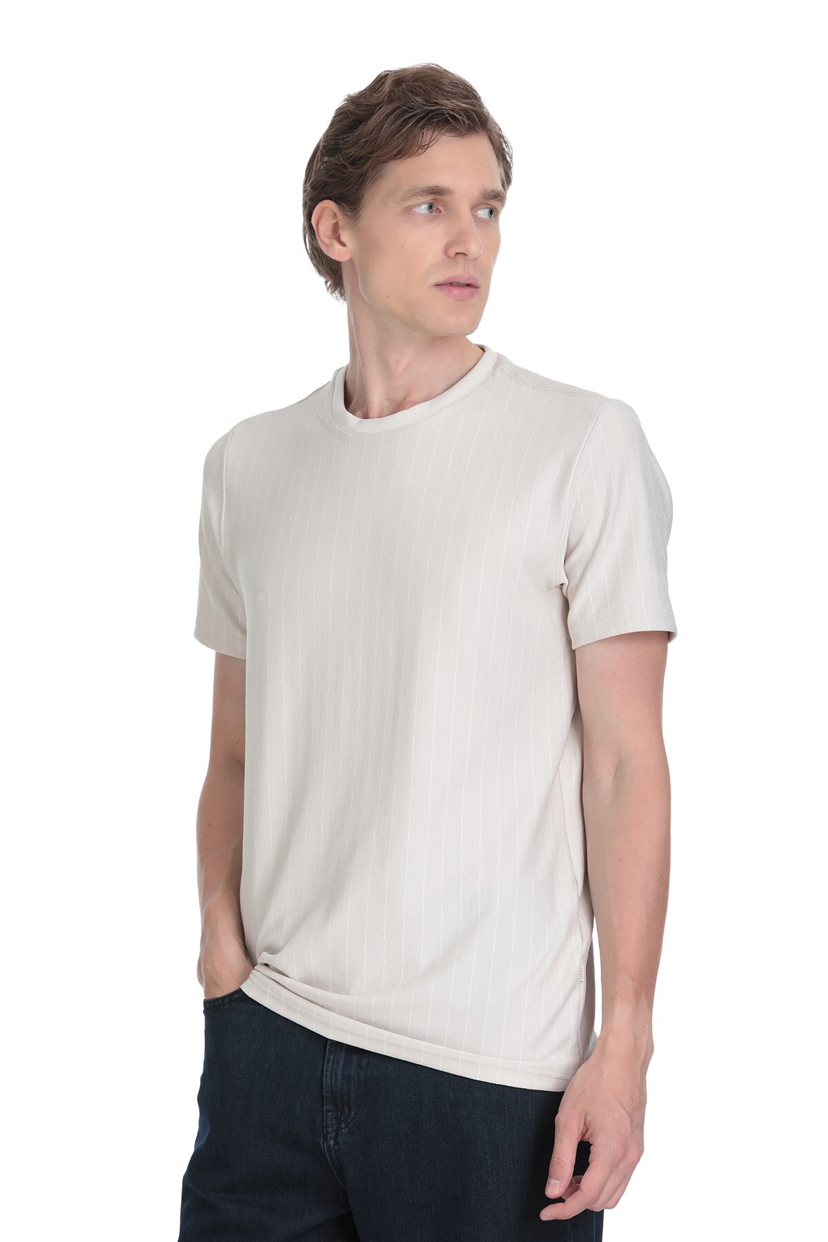 Taş Regular Fit Çizgili Bisiklet Yaka Tişört - 1