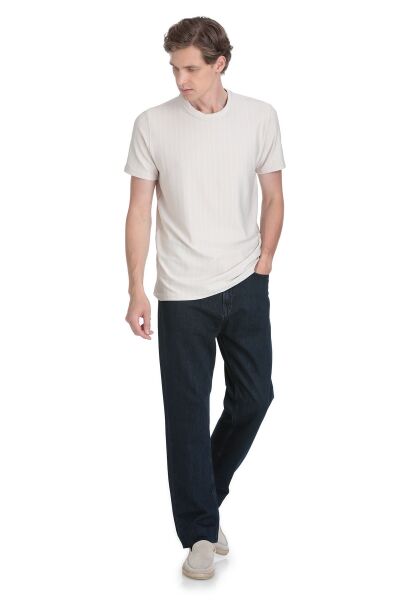 Taş Regular Fit Çizgili Bisiklet Yaka Tişört - 2