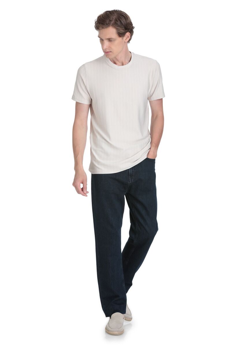 Taş Regular Fit Çizgili Bisiklet Yaka Tişört - Saykı (1)