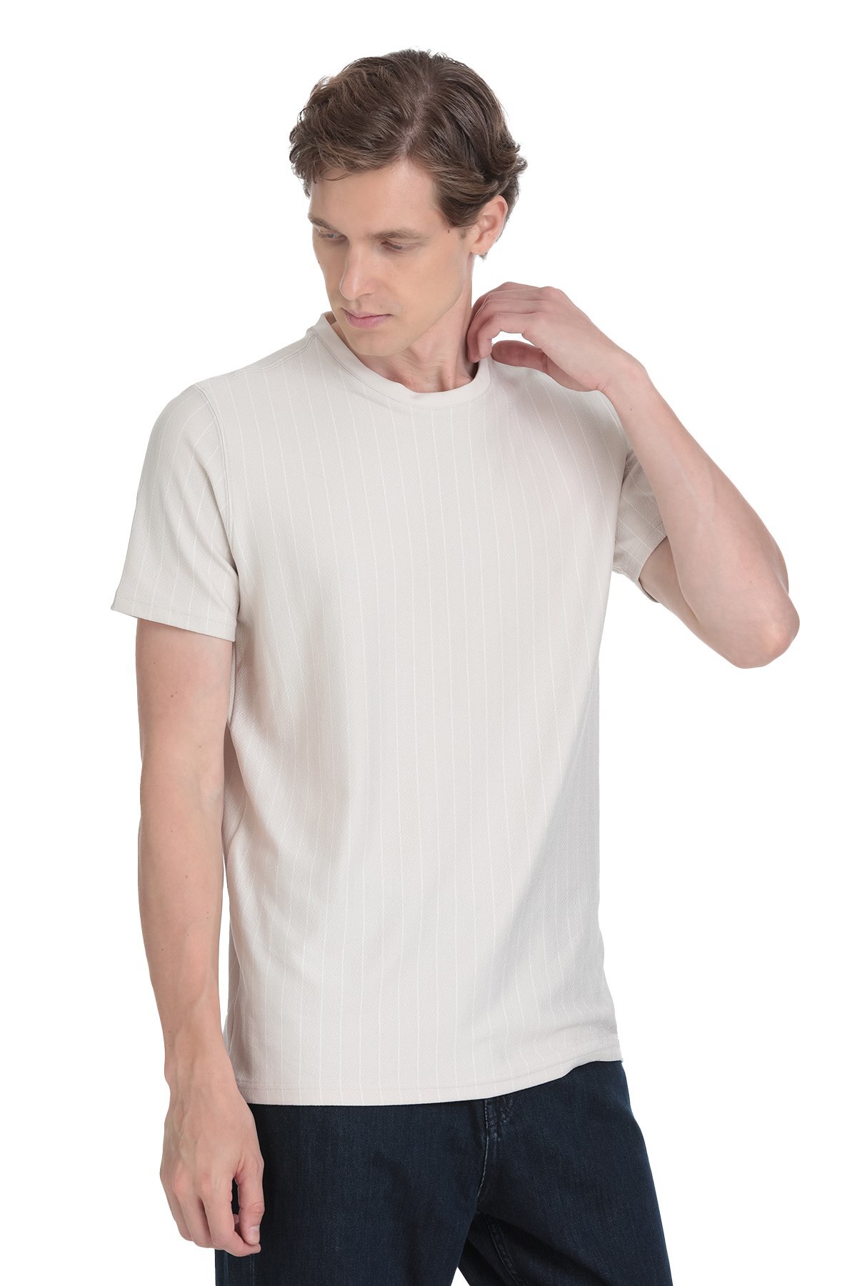 Taş Regular Fit Çizgili Bisiklet Yaka Tişört - 3