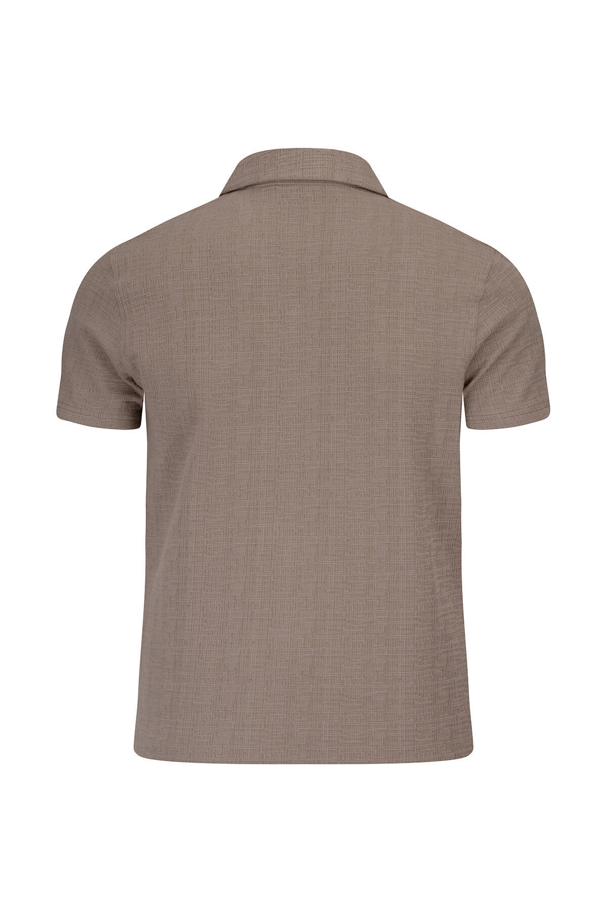 Vizon Regular Fit Apaş Yaka Gömlek - 3