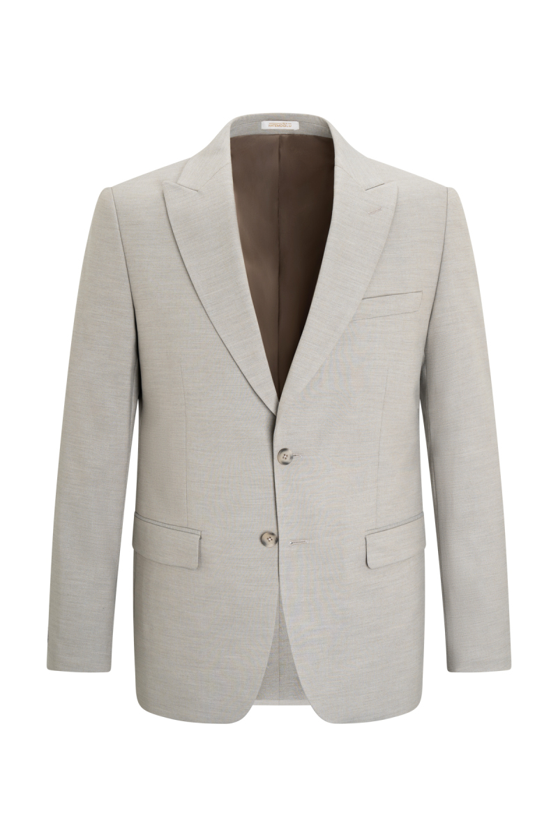 Vizon Slim Fit Sivri Yaka Klasik Takım Elbise - Hatemoğlu (1)